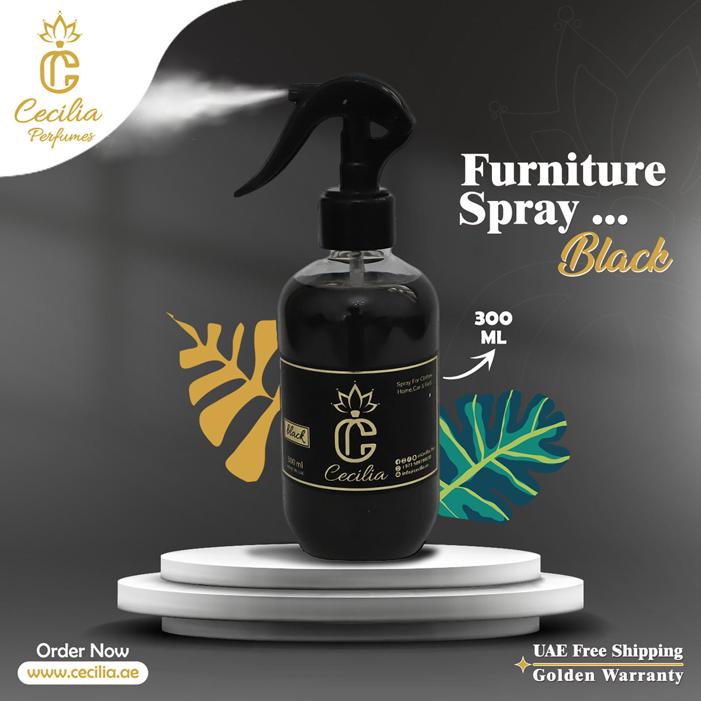Black Spray 300 ml